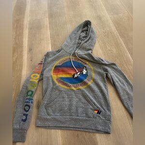 Grey Aviator Nation sweatshirt